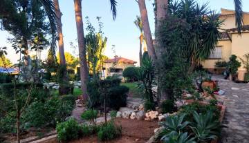 IMS-So2-Marquesa V-012.jpg